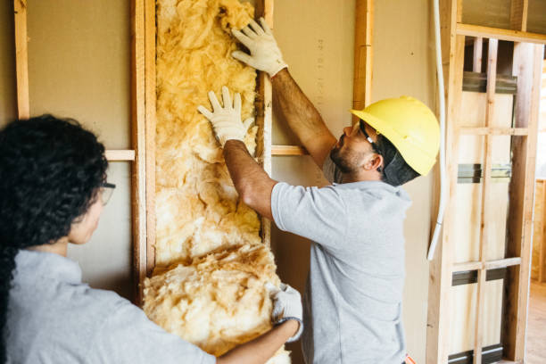 Insulation Repair Services in Dover Base Housing, DE
