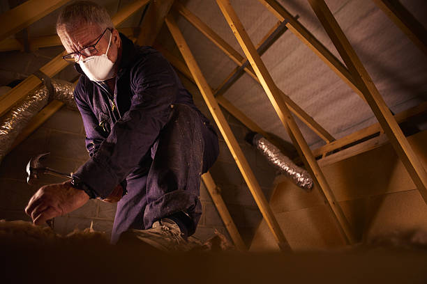 Best Insulation Contractors for Homes  in Dover Base Housing, DE
