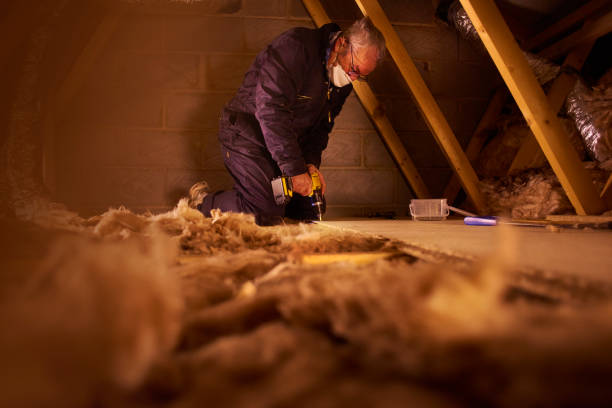 Best Crawl Space Insulation  in Dover Base Housing, DE